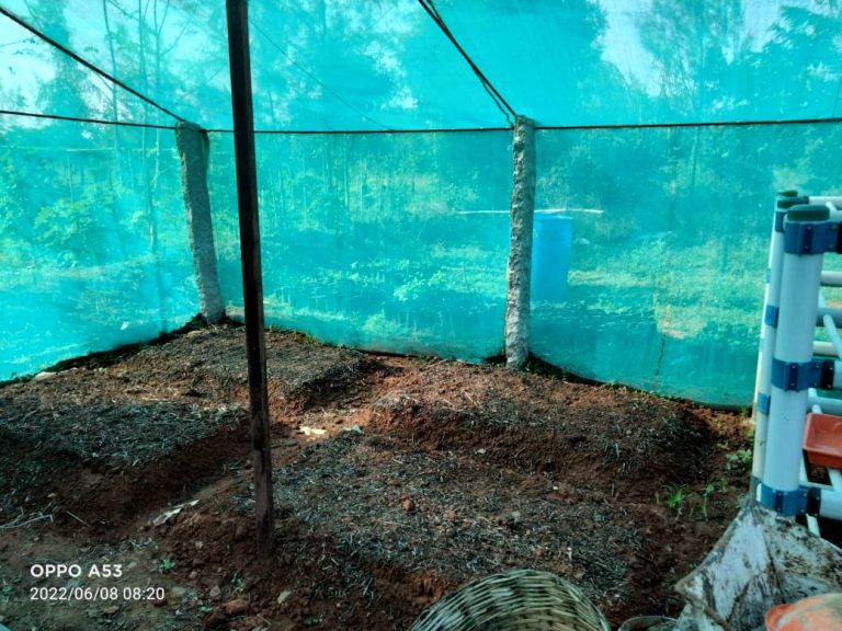 2022-Collaboration-Farming-Method-768x576