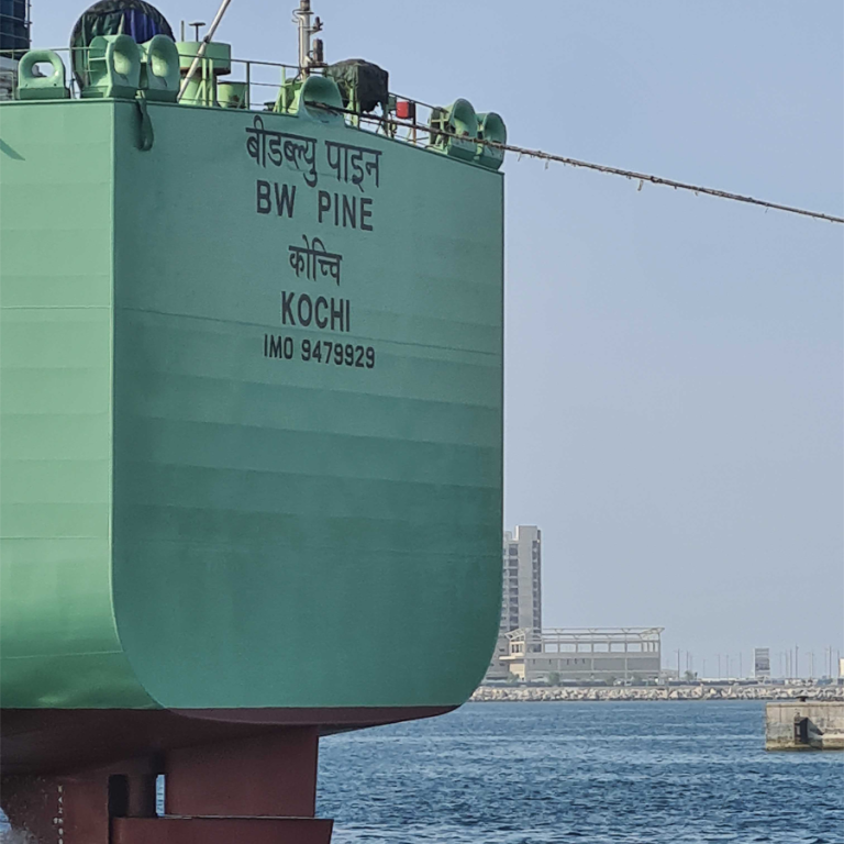 BW-Pine-900x900-1-768x768