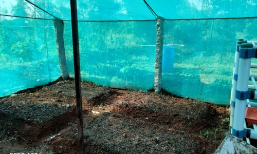 Inside the water purification system